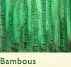 Série Bambous